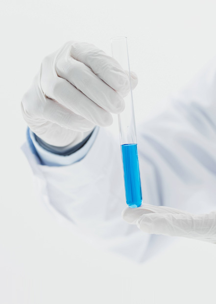 我們的服務(wù)